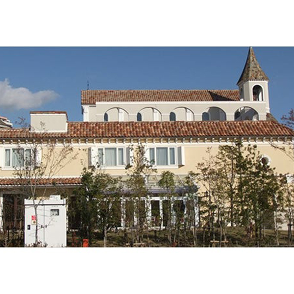 Tuile en terre cuite - Oméga 10 - à double emboîtement - réf.104 EDILIANS - Vieux toit