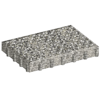 Dalle podotactile certifié NF - TACTILGRIP 6 - pierre reconstituée - 42 x 60 cm - ép. 6 cm - Granit gris Tarn