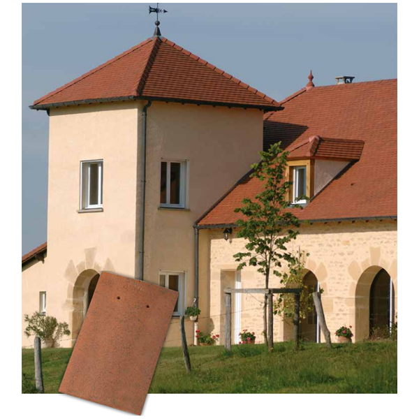 Tuile plate en argile haut de gamme - Tempo - 18,5 x 31 cm - Patiné champagne