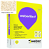 Enduit monocouche semi-allégé et coloré à grain fin WeberLite F 015 Pierre clair - sac de 25 KG