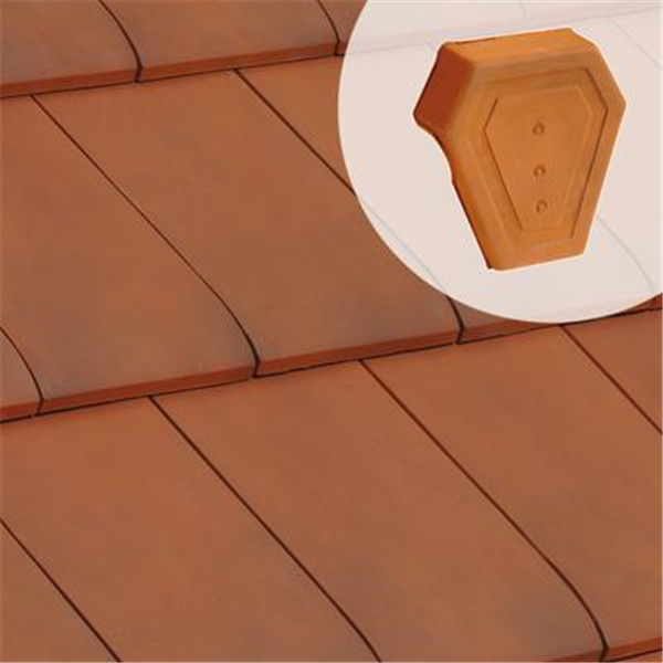 Fronton de rive universelle 1080