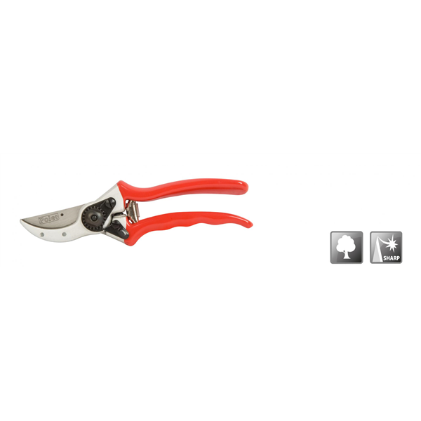 Sécateur Polet 210 mm avec butée-amortisseur, coupe jusqu'à 22 mm