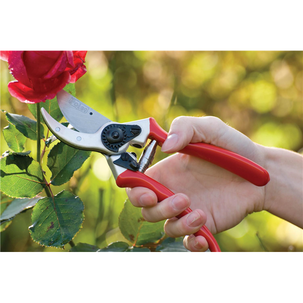 Sécateur Polet 210 mm avec butée-amortisseur, coupe jusqu'à 22 mm