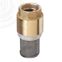 Clapet crépine universel Femelle 1" axe plastique