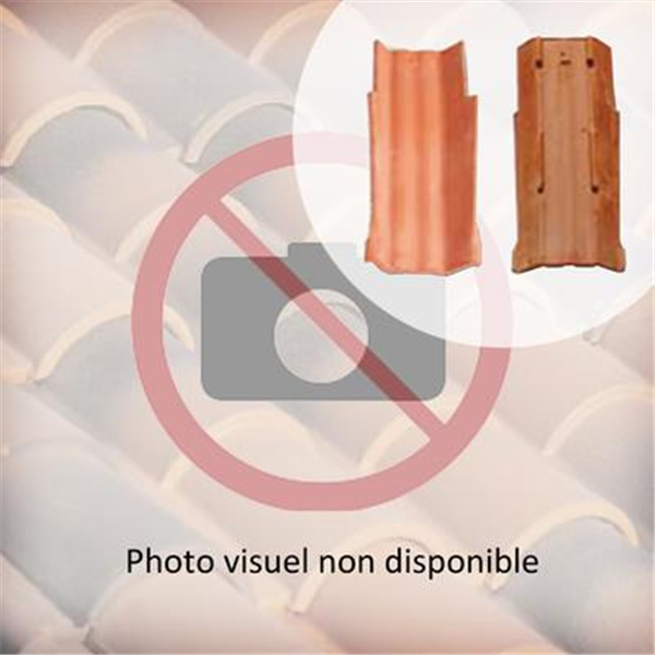 Tuile Canal terre cuite Multi'fix Tegula 46 - Vieilli