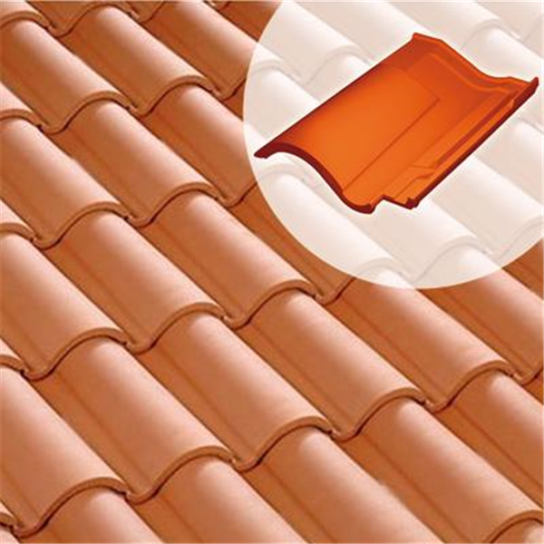 Tuile chatière DC12 (61DG)