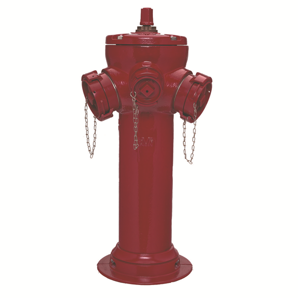 P.I. VEGA 150 3 RAC H 1 M