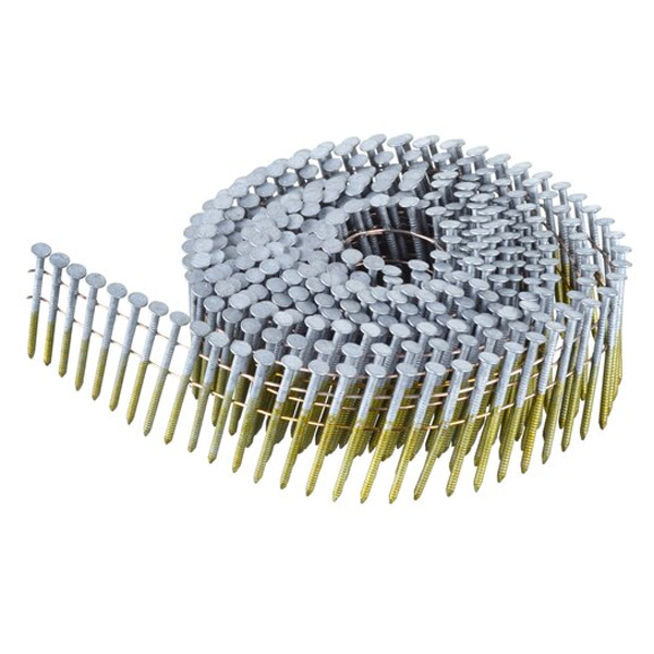 Clou cranté en rouleau série N Dewalt DNN20R50HDZ galvanisé 2,03 x 50 mm - boîte de 2000