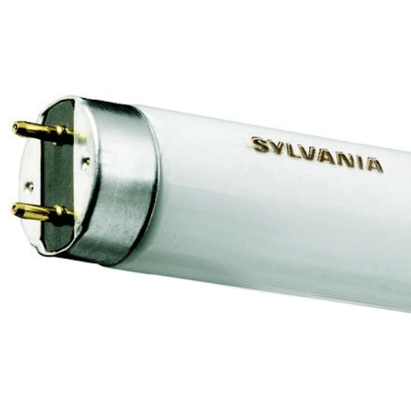 Luminaire néon T8 Luxline Plus 895 mm 30W Culot G13 Sylvania Blanc chaud