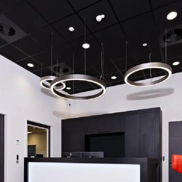 Dalle faux plafond 60x60 cm - Tonga A 40 - Bords droits - Couleur Noir - ép. 40 mm