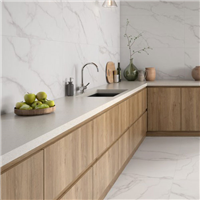 Faïence salle de bain et cuisine effet marbre - Vogue - 20 x 60 cm - ép. 8 mm - Blanco brillant