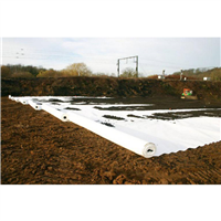 GEOT BONAR NW6 80G C2 2,62X100M