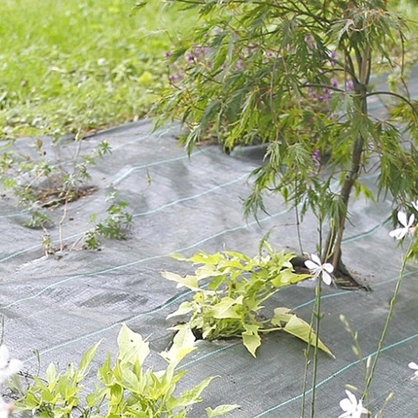 Toile de paillage Géo-Paillis de 90 g/m² - Rouleau de 1,00 M x 25,00 M