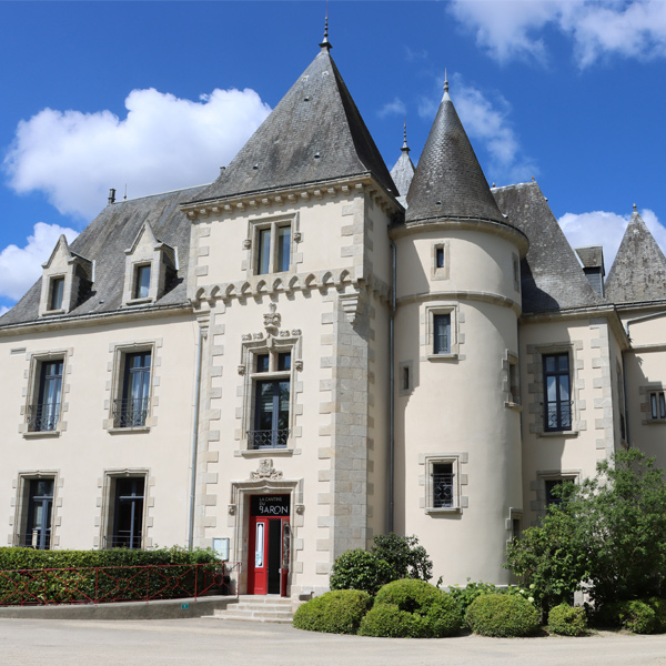 Mortier de réparation à la chaux pour restauration de pierre naturelle - PRB Répar Pierre DF - Grain fin pour pierre dure - Sac de 20kg - Teinte Bergerac