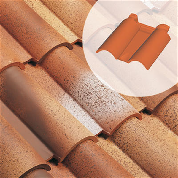 Tuile double bourrelet Aquitaine (111.90)