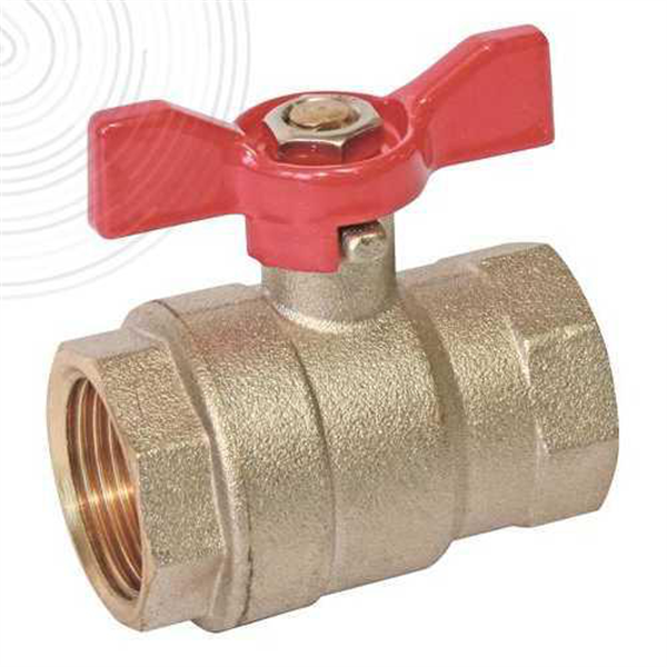 Vbs acs a joint torique ff 12/17 pap