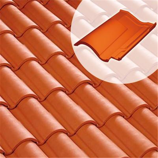 Tuile chatière DC12 (61DG)