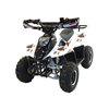 Moto Quad Karting Gyropode