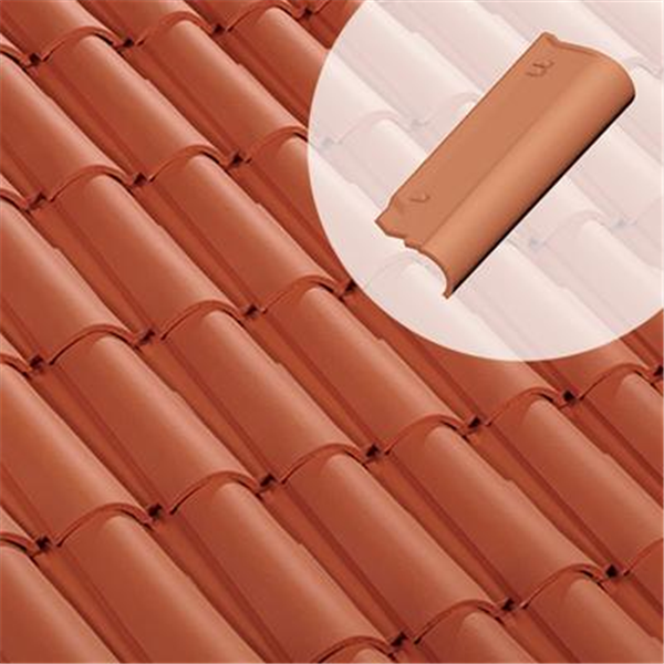 Rive ronde droite - 10HR