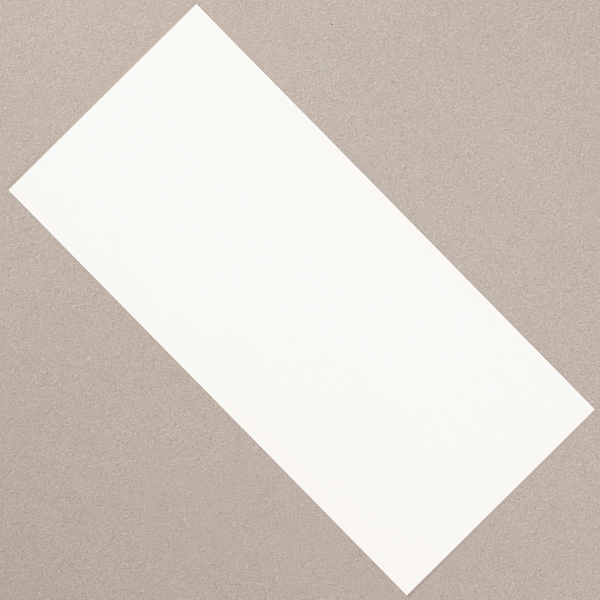 Faïence murale TRENDY LISSE EDILIS -  - 50 CMx25 CM ép. 7.40 MM