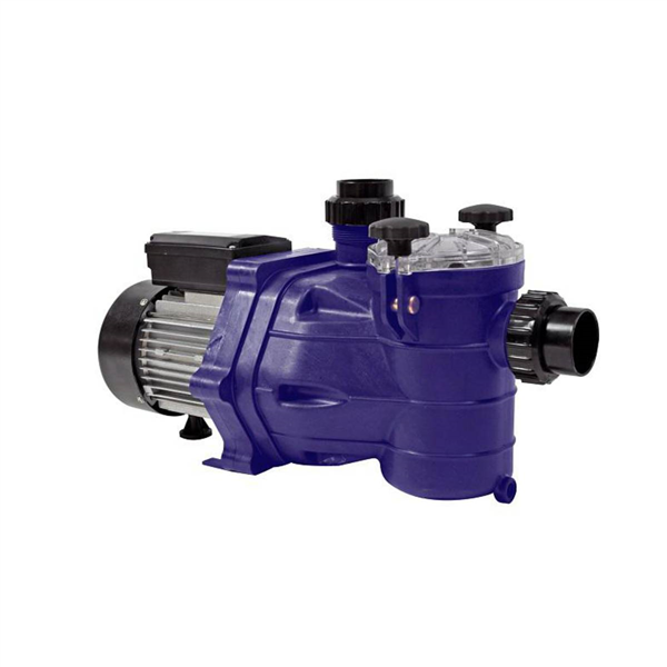Pompe Bering Junior 1 Cv Mono