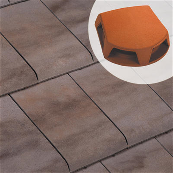 Lanterne bi-section 1007 pour toiture - Ø 126/160 mm - section aération 259 cm²  - Serac