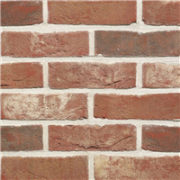 Brique pleine en terre cuite moulée main Terca Patrimonia Pastorale - Wienerberger - 215,0 MM x 102 MM x 50,00 MM