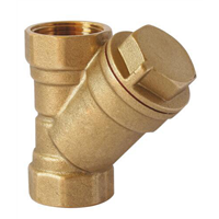 Filtre en Y en laiton Double Femelle 1" tamis en acier inox