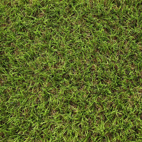 Gazon synthétique - Stadium Exelgreen - Garantie 6 ans - Hauteur 30,00 MM