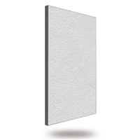 Plaque de plâtre revêtu vinyle crêpelé blanc - Bords droits - 2,70 M x 1,20 M - ép. 13,0 MM