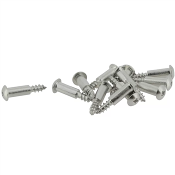 Vis de fixation Nicoll FIXCAN pour grille de caniveau Connecto et Kenadrain - inox 316 - sachet de 12