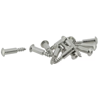 Vis de fixation Nicoll FIXCAN pour grille de caniveau Connecto et Kenadrain - inox 316 - sachet de 12