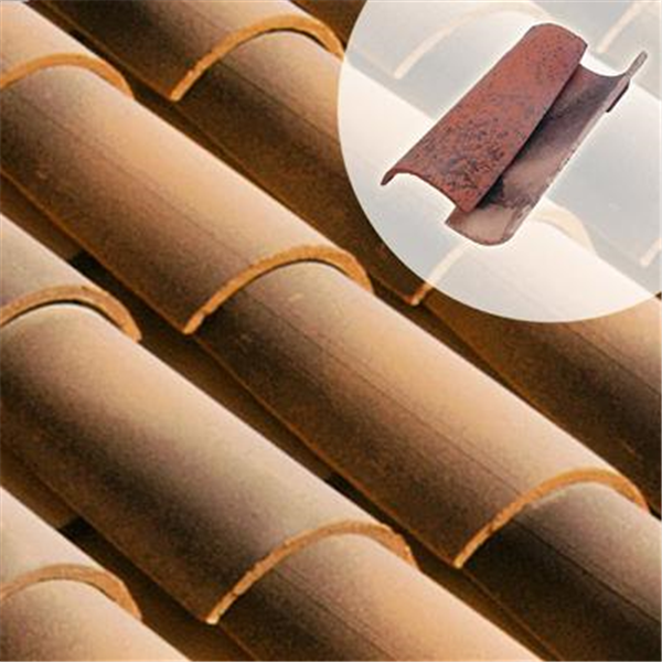 Tuile Canal Languedocienne 50 de couvert, dessus TERREAL - Cathédrale