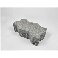 PAVE UNIK 225X112,5X80 GR 40PC  M2