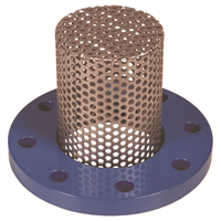 CREPINE INOX O6mm DN 100 PN 10