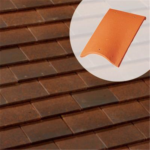 Tuile chatière (61PG)