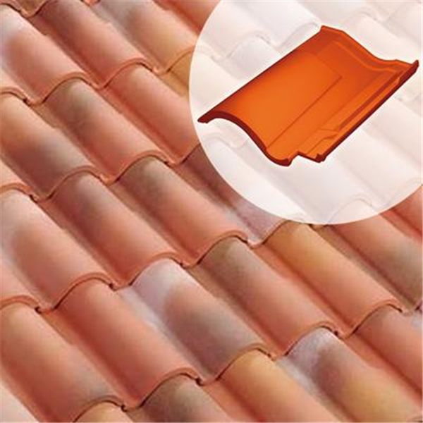 Tuile chatière DC12 (61DG)