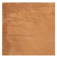 Carrelage extérieur en grès cérame rectifié effet terre cuite Fireclay Grip - 48,1 cm x 48,1 cm - ép. 8,00 mm - Red