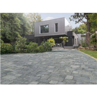 PAV NEWHEDGE VIE. 3F  IVORY     M2