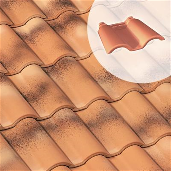 Double tuile 3/4 pureau Gallo Romane (GL018) - Silvacane littoral