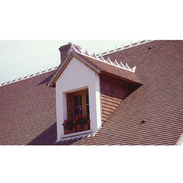 Tuile plate en terre cuite Tradition 17x27 Doyez - Terre d'Allier