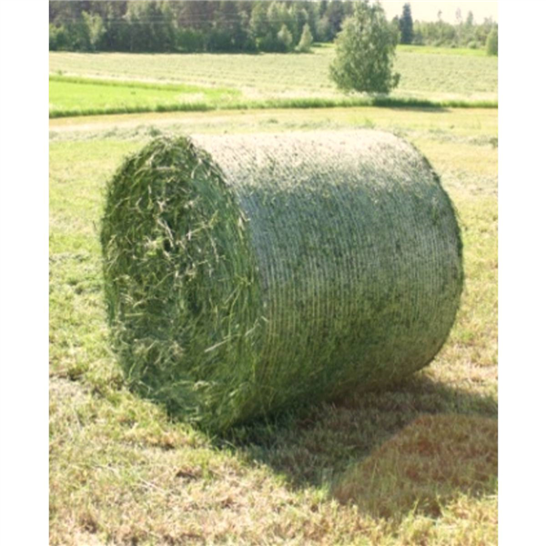 FILET TEMO NET-1,23x3000m BL, BLC