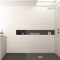 Faïence murale TRENDY LISSE EDILIS -  - 50 cmx25 cm ép. 7.40 mm