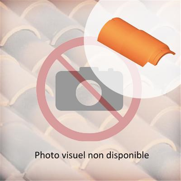 Faîtière de ventilation + clip 291XT