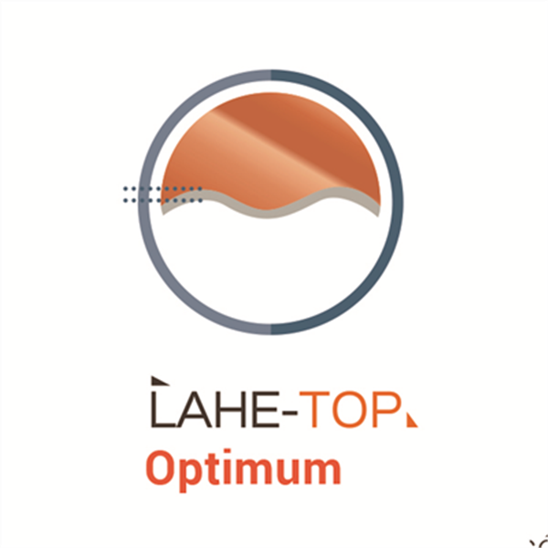 Solin à pli LAHE TOP OPTIMUM acier avec   160 MM L. 2 M