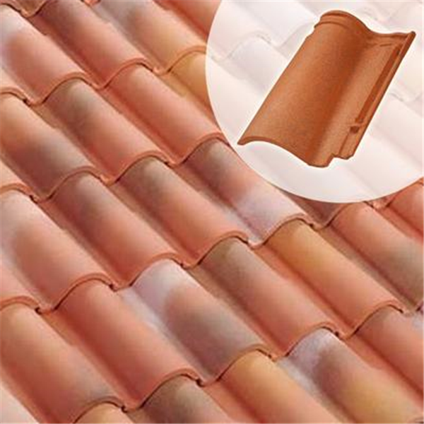 Tuile DC12 - Double Canal 12 double emboitement Terreal 1DG - Pastel Occitan