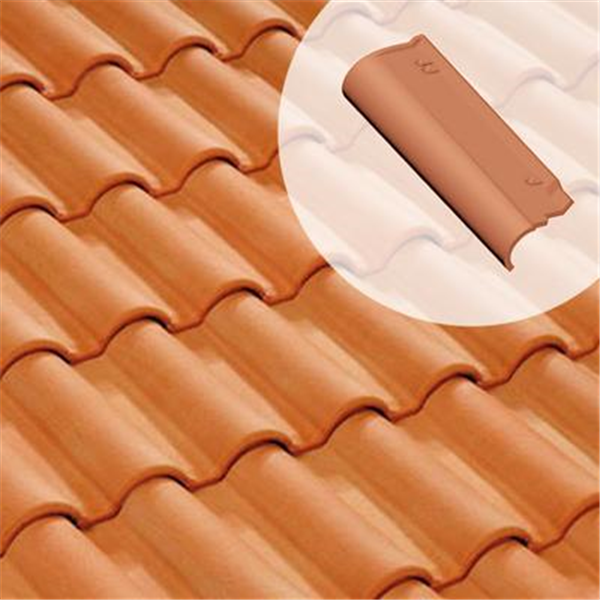 Rive ronde gauche - 9HR