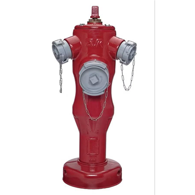 P.I. PEGASE 2 DN 100 1M