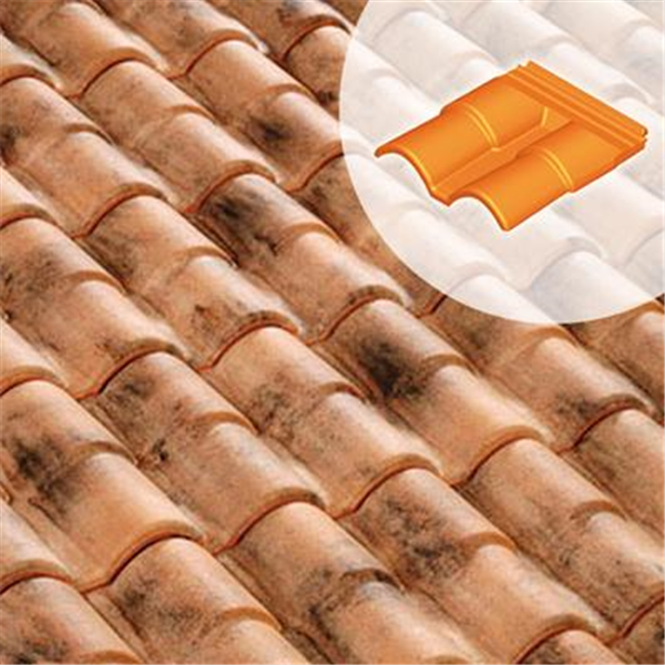 Double rive sous faitière Romane Canal