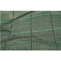 TOILE PAIL 90G VERTE 100X2,10M RL